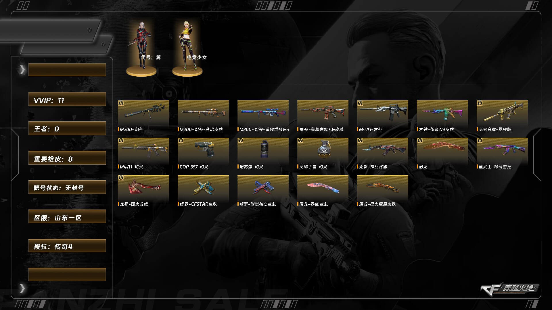 穿越火线账号北部战区山东一区XH8977/北部/山东一区/【传奇4】/Lv.100 大元帅/11V/幻神/幻神荣耀世冠白鲨/幻神