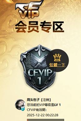 CFQM371399穿越火线账号详情图9 CFQM371399穿越火线账号详情图9