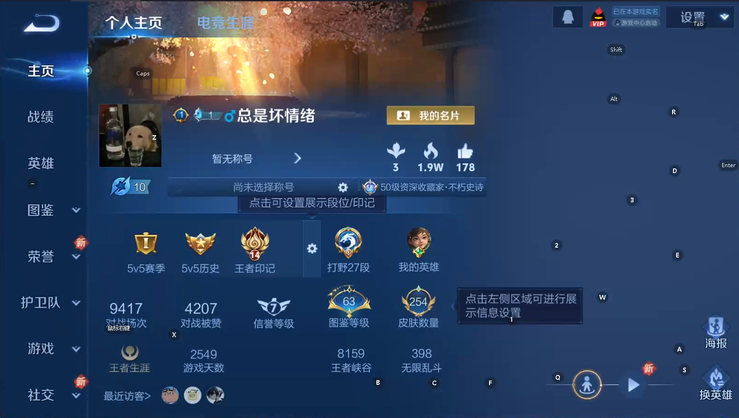 WZQM3444868王者荣耀账号详情图9