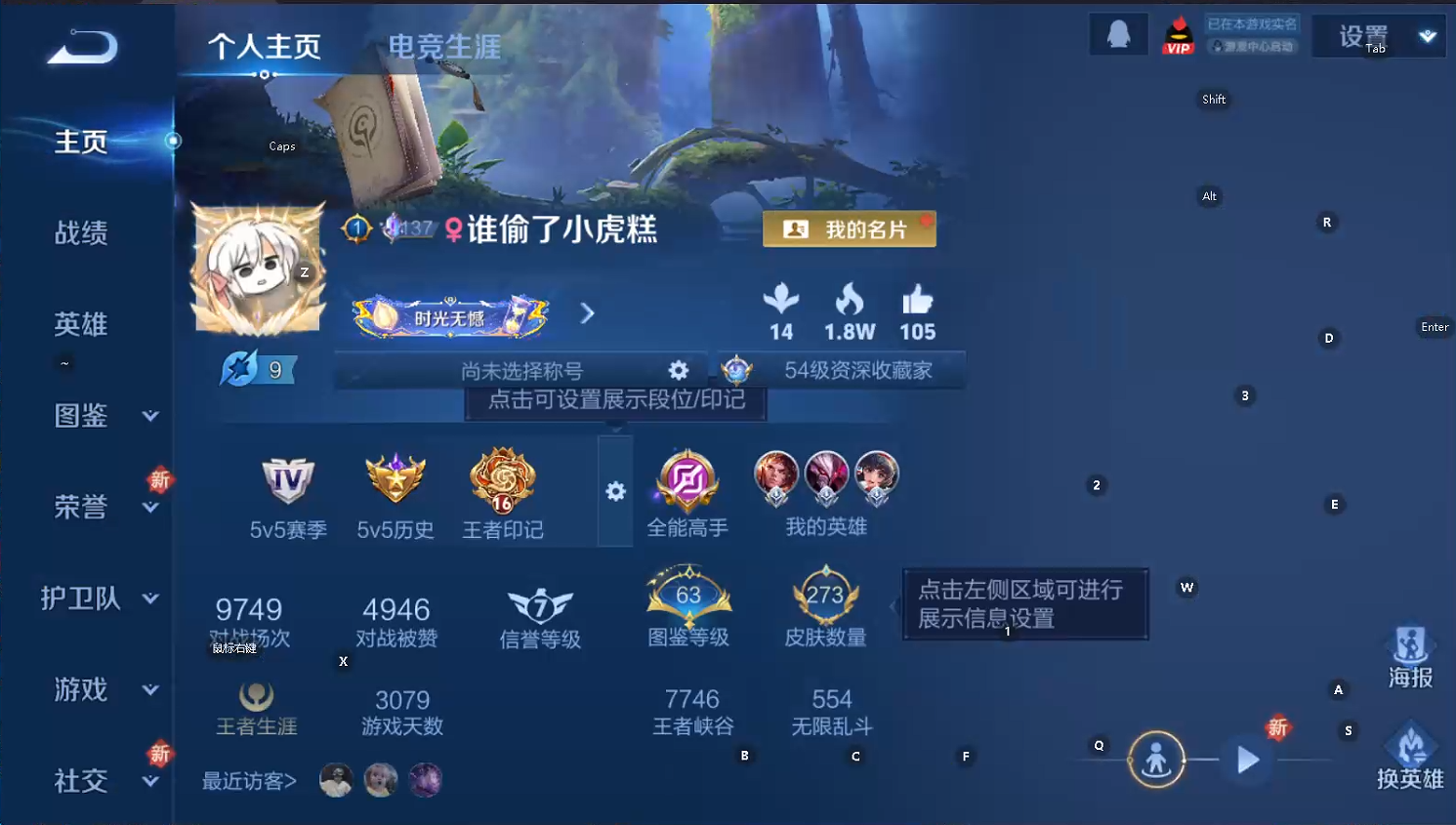 WZQM3447074王者荣耀账号详情图9