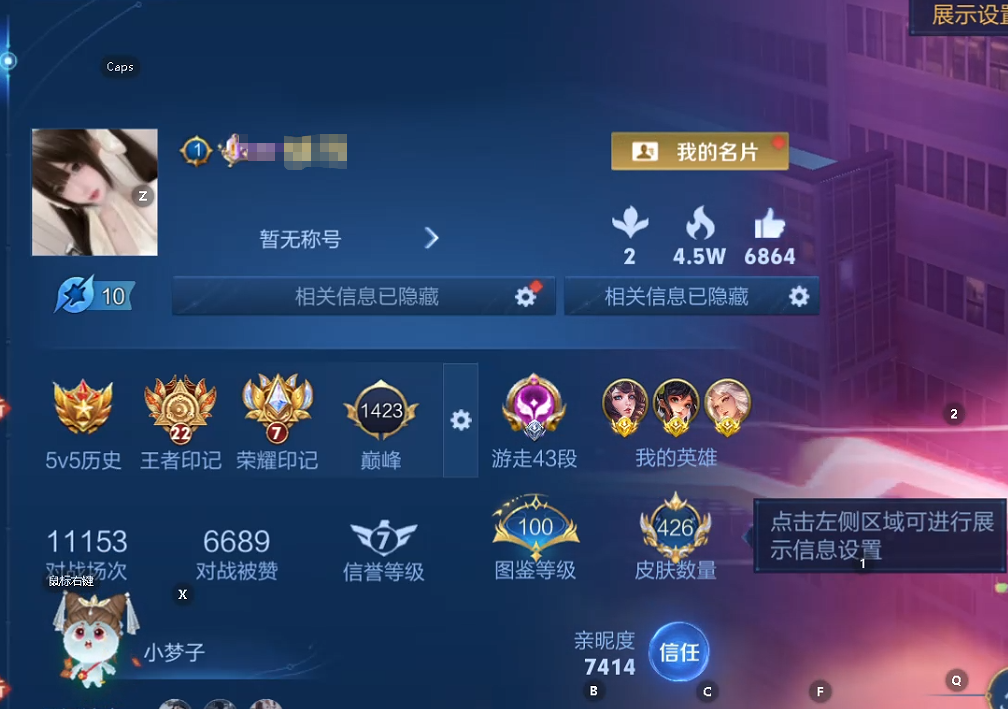 WZQM3447078王者荣耀账号详情图11 WZQM3447078王者荣耀账号详情图11