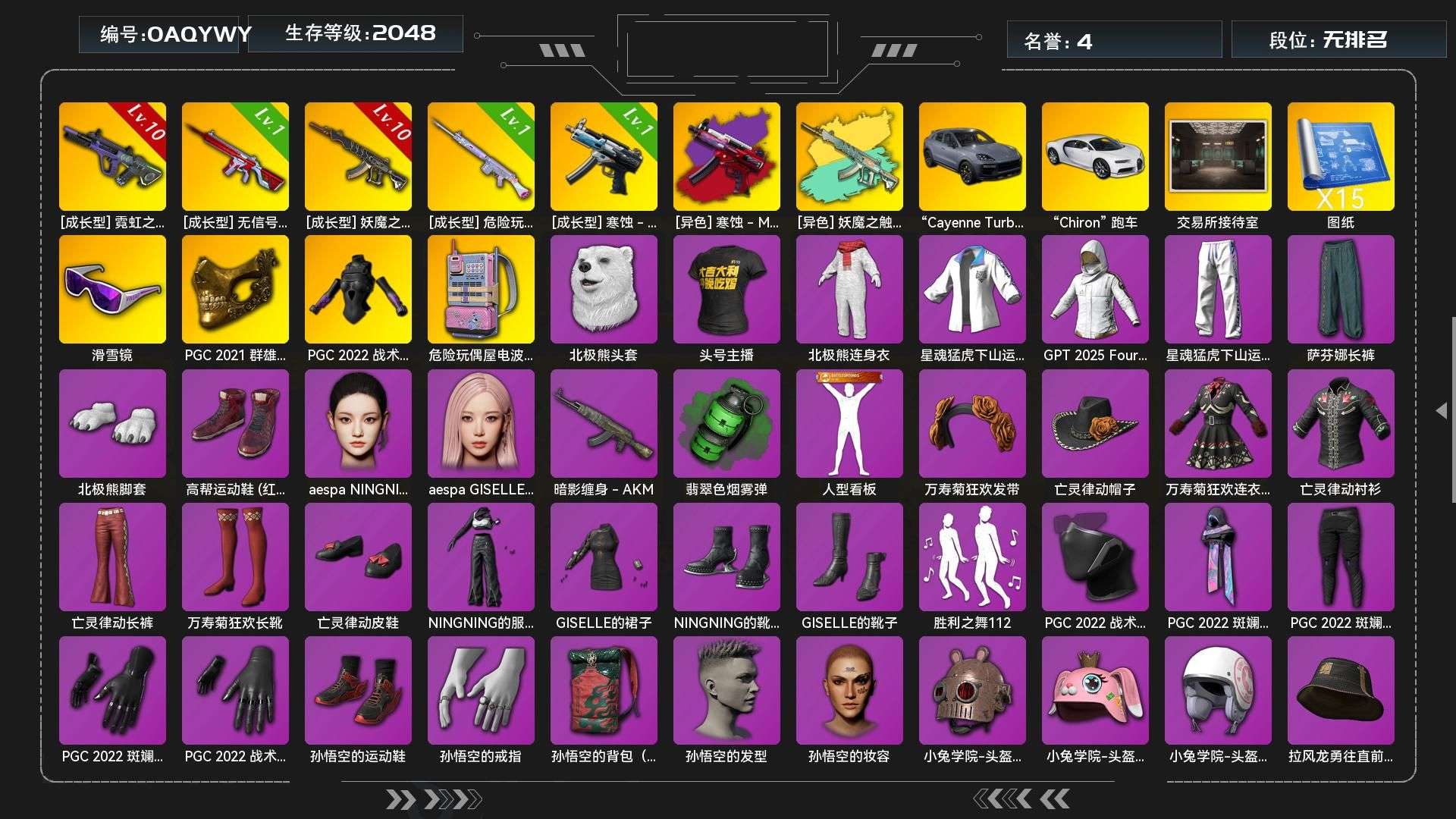 JDPZ12104	生存500级可排位/1...