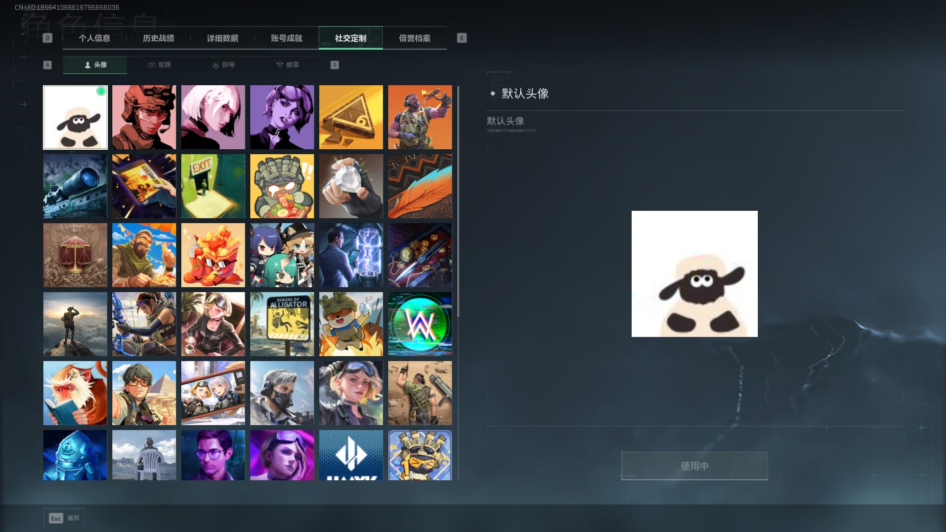 SJZCMW394915三角洲行动账号详情图6