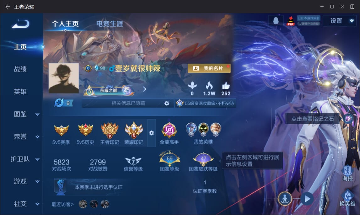 WZCMW3455775王者荣耀账号详情图22