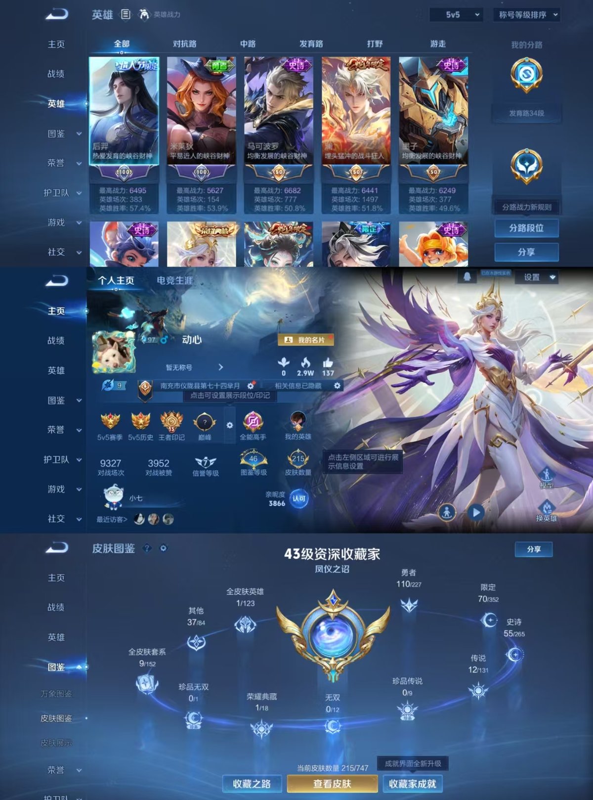 WZQM3462040王者荣耀账号详情图8