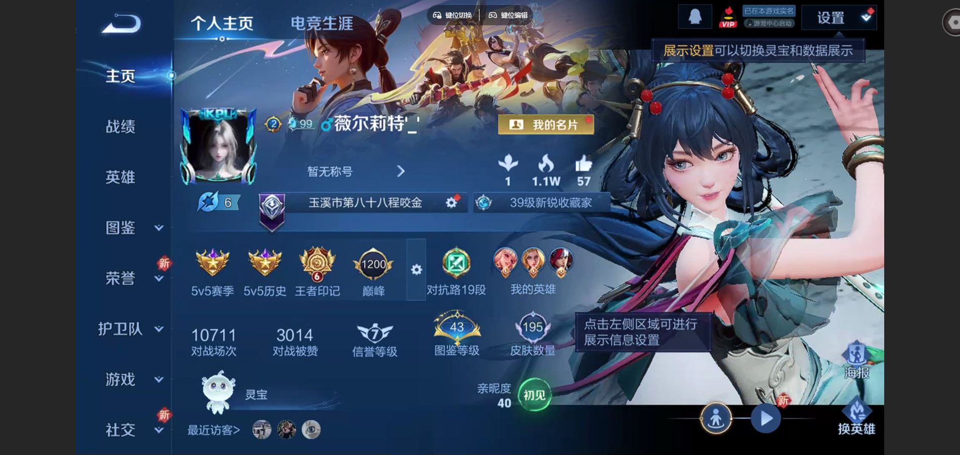 王者荣耀账号苹果QQ195皮肤1典藏1无双10传说  王者印记6 对抗路19段【全皮英雄】 影全皮 【典藏】 活力突击 