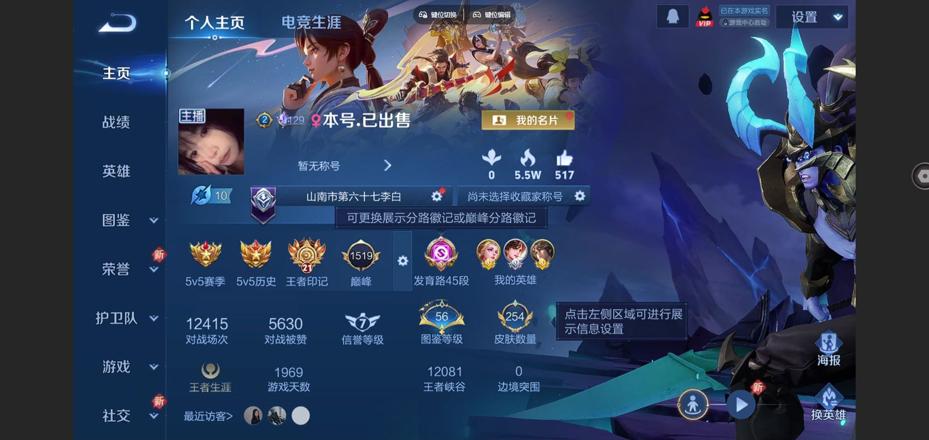 王者荣耀账号安卓QQ质量射手号 254皮肤1典藏11传说  王者印记21 发育路45段 打野30段 金标艾琳 金标莱西奥