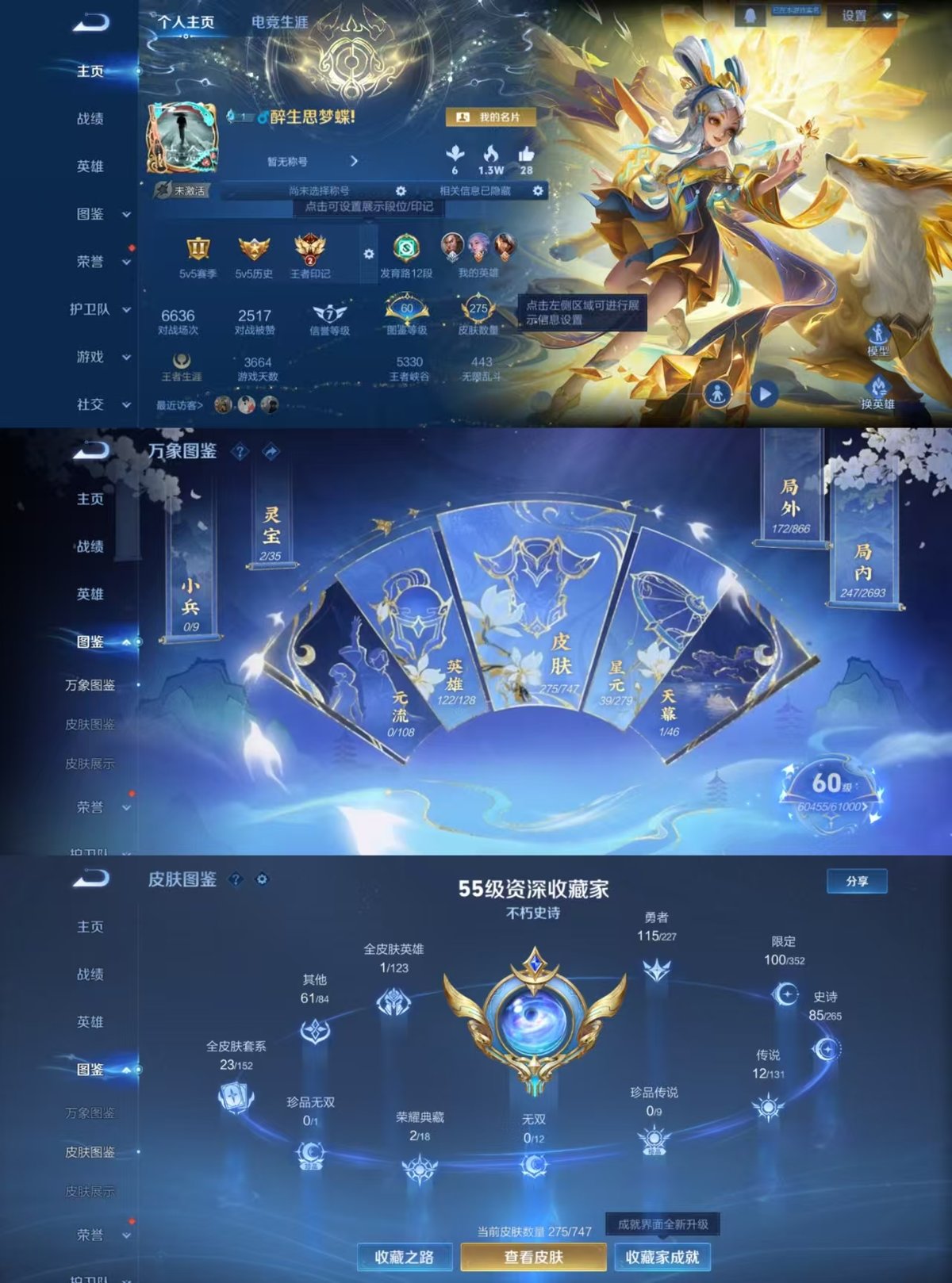 WZQM3471955王者荣耀账号详情图6