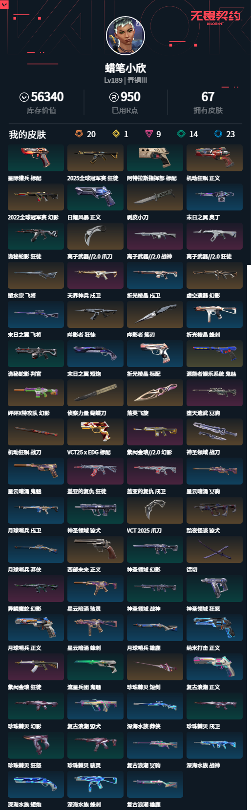 WWQQM331984无畏契约账号详情图6