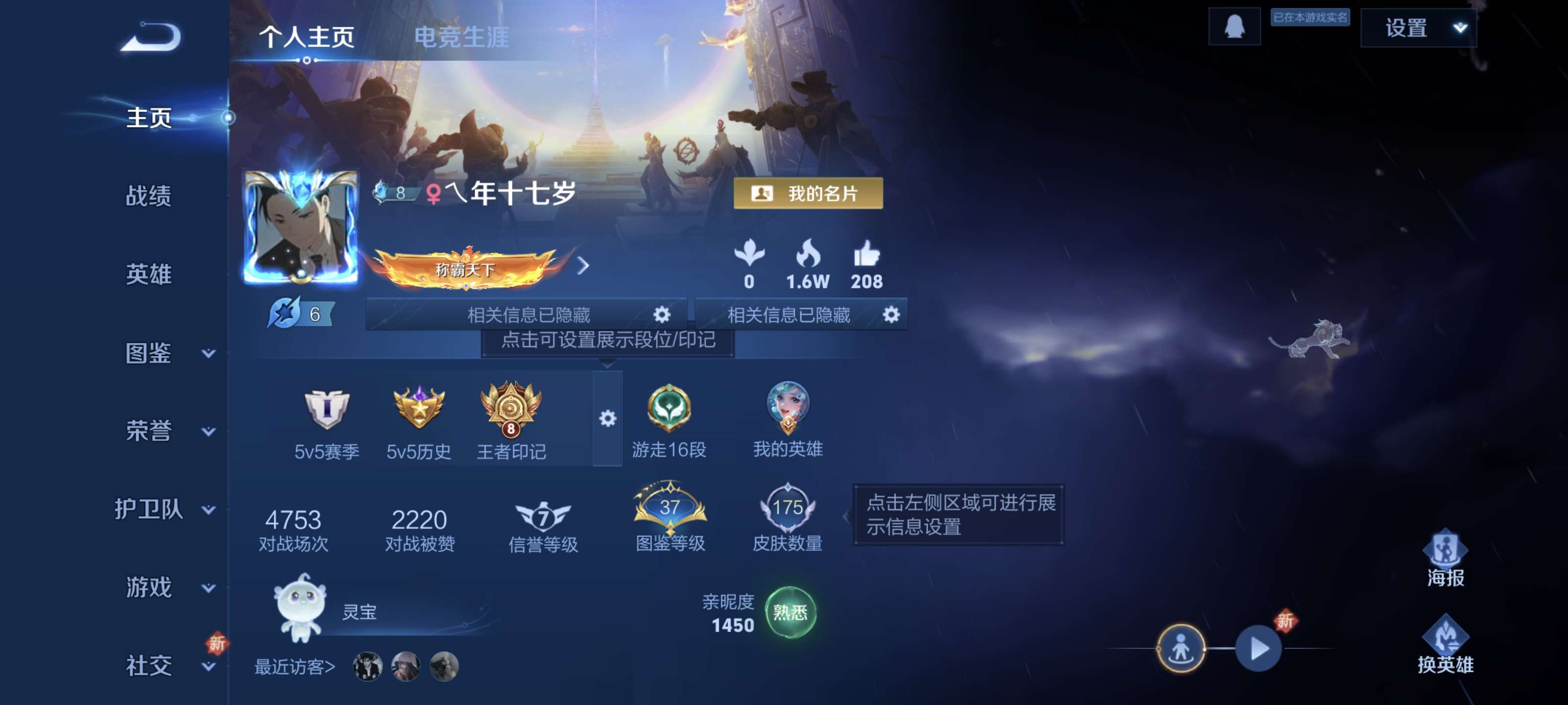 王者荣耀账号安卓QQ安卓Q【可二次】V6-125英雄-175皮肤-8王者印记（5传说）【传说】 神树通天 鸣野蒿 白虎志