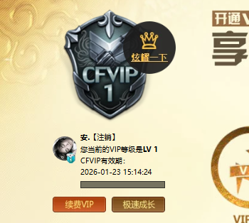 CFCMW383816穿越火线账号详情图4