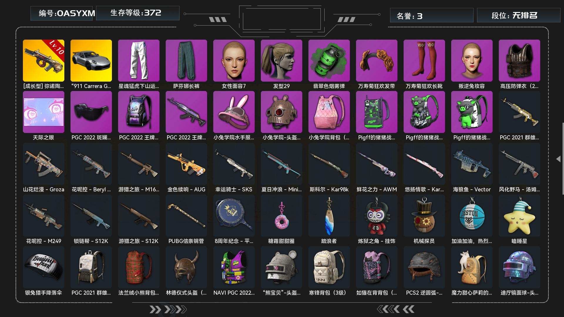 JDPZ12262	生存372级可排位/1...