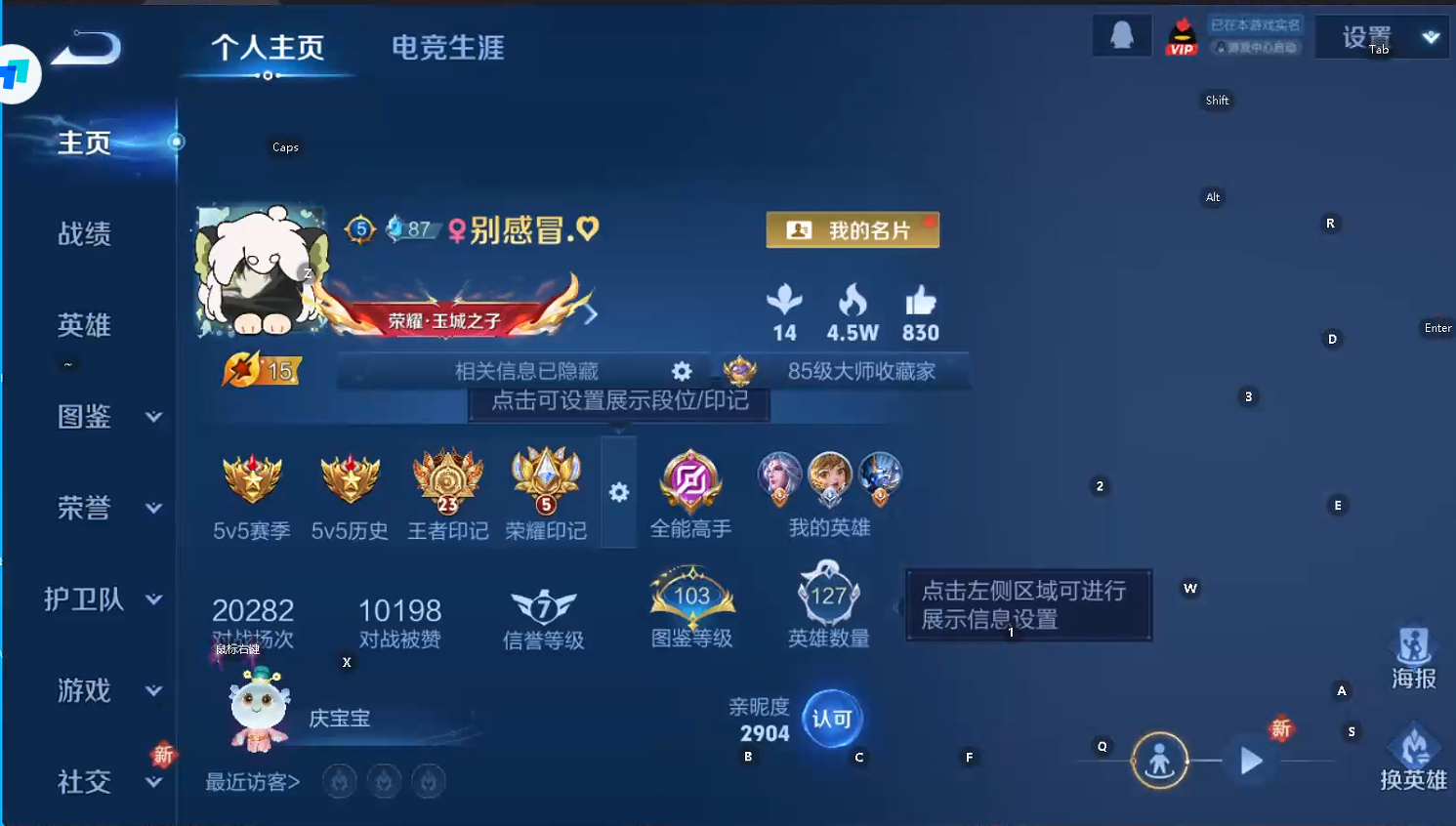 WZQM432012王者荣耀账号详情图8