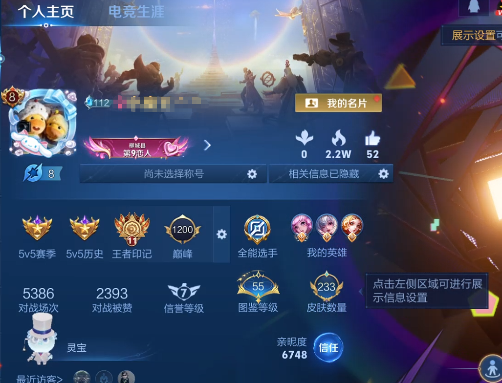 WZQM3483834王者荣耀账号详情图8