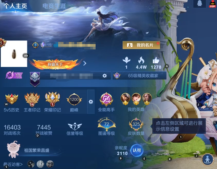 WZQM3483797王者荣耀账号详情图12