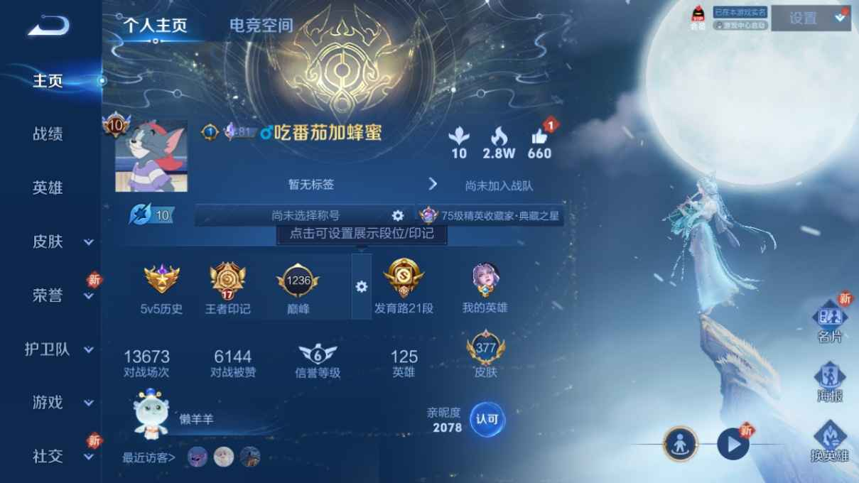 WZQM433177王者荣耀账号详情图8