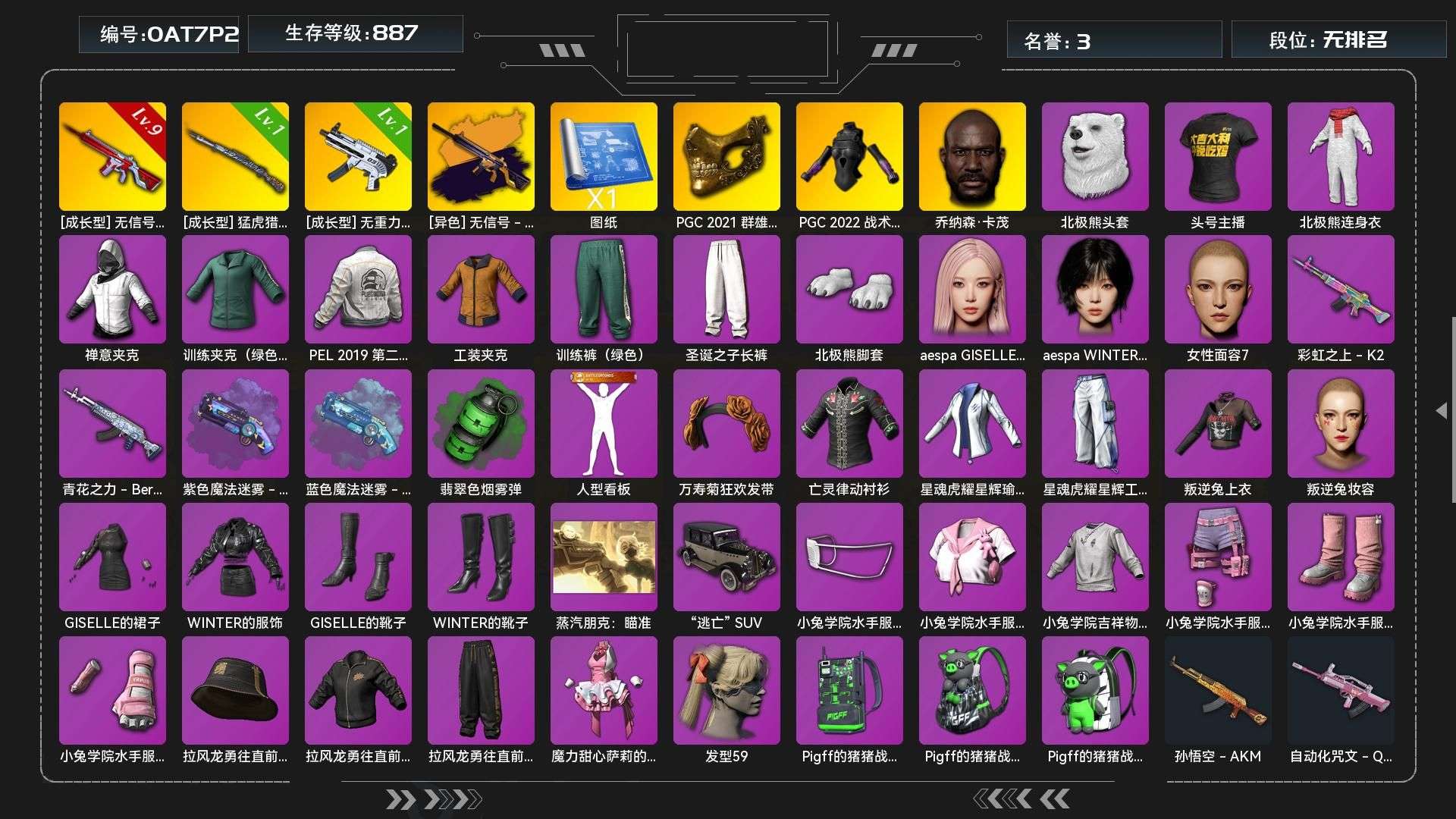 GJD12284	生存500级可排位/9级...