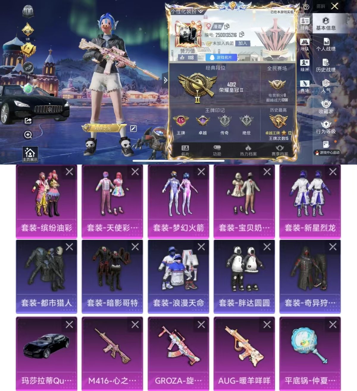 和平精英账号苹果QQ1载具-173套装-214枪皮-实名: 可修改 时装数: 663 载具数: 1 枪械数: 214 战