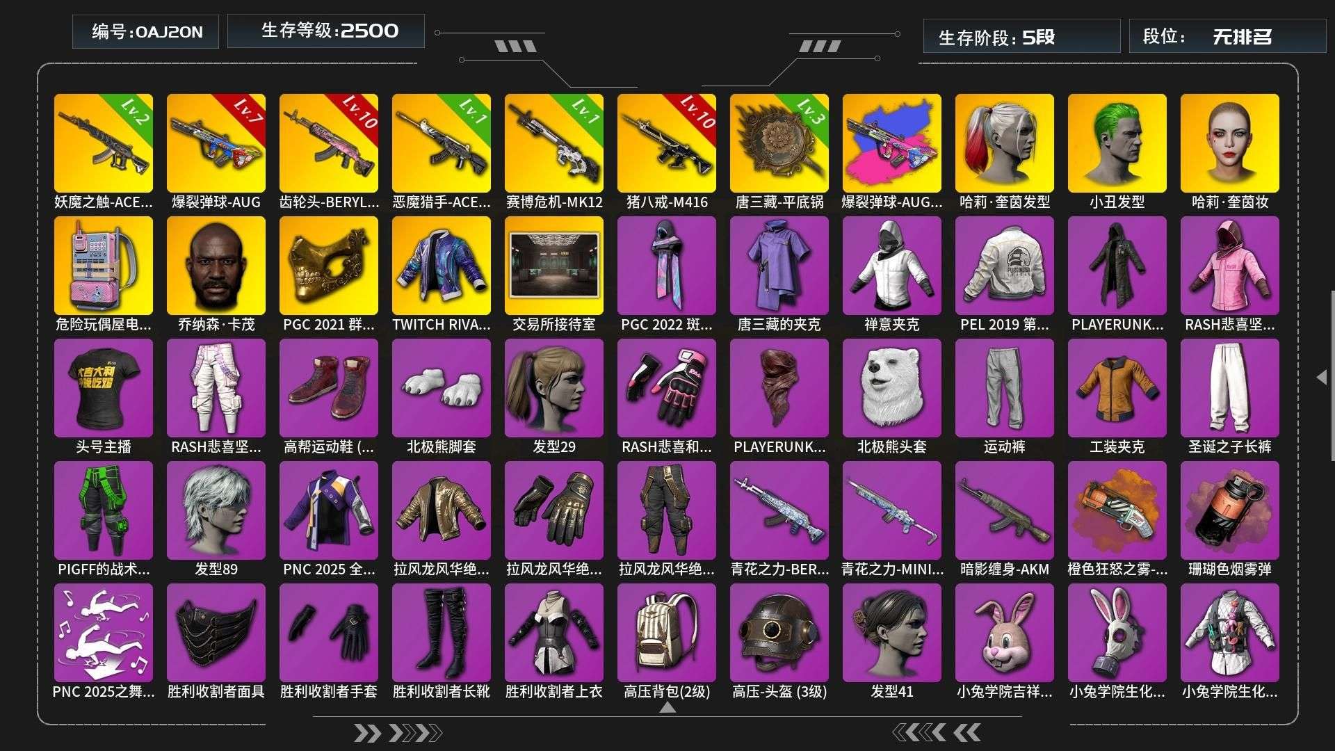 GJD10913	生存500级可排位/1级...