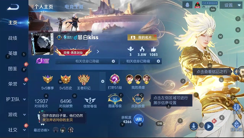 WZQM433390王者荣耀账号详情图3