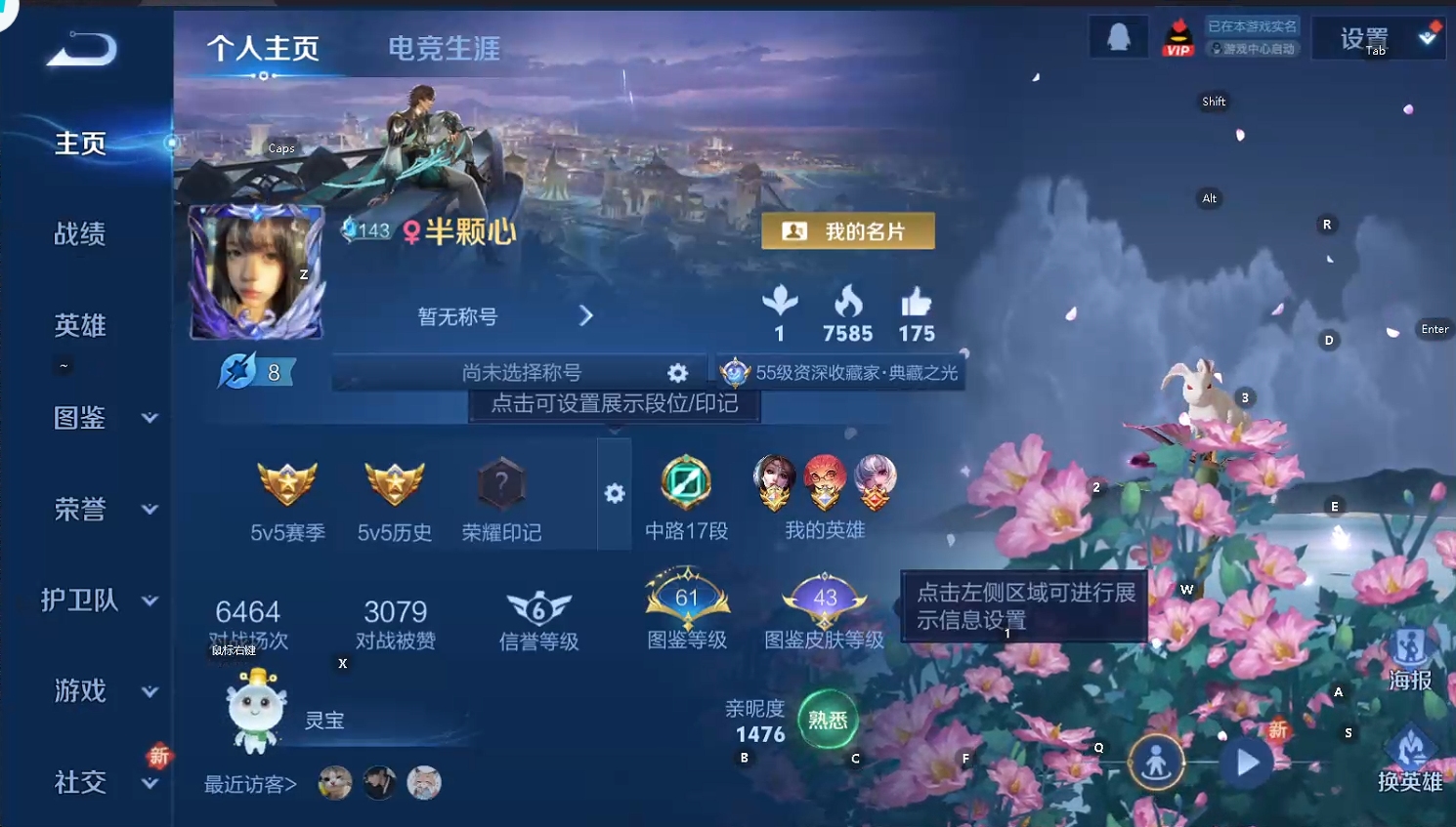 WZQM439331王者荣耀账号详情图8