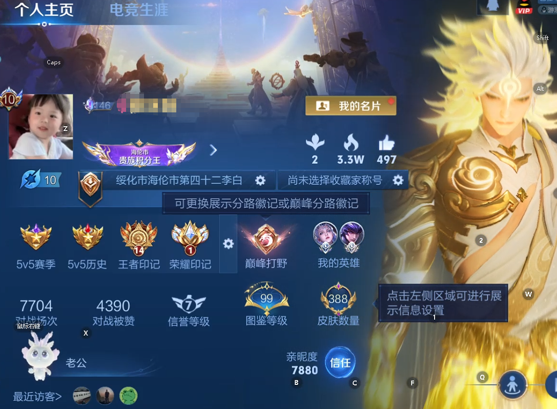 WZQM433486王者荣耀账号详情图9