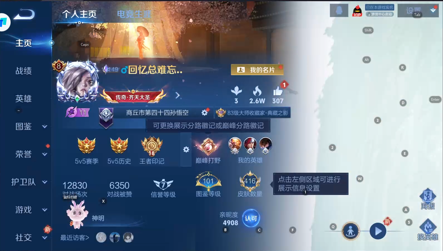 WZQM433517王者荣耀账号详情图8