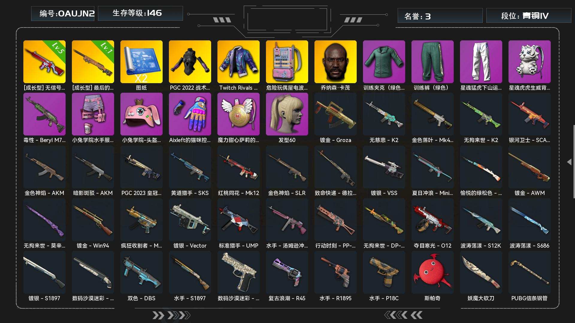 JDPZ12429	生存146级可排位/5...