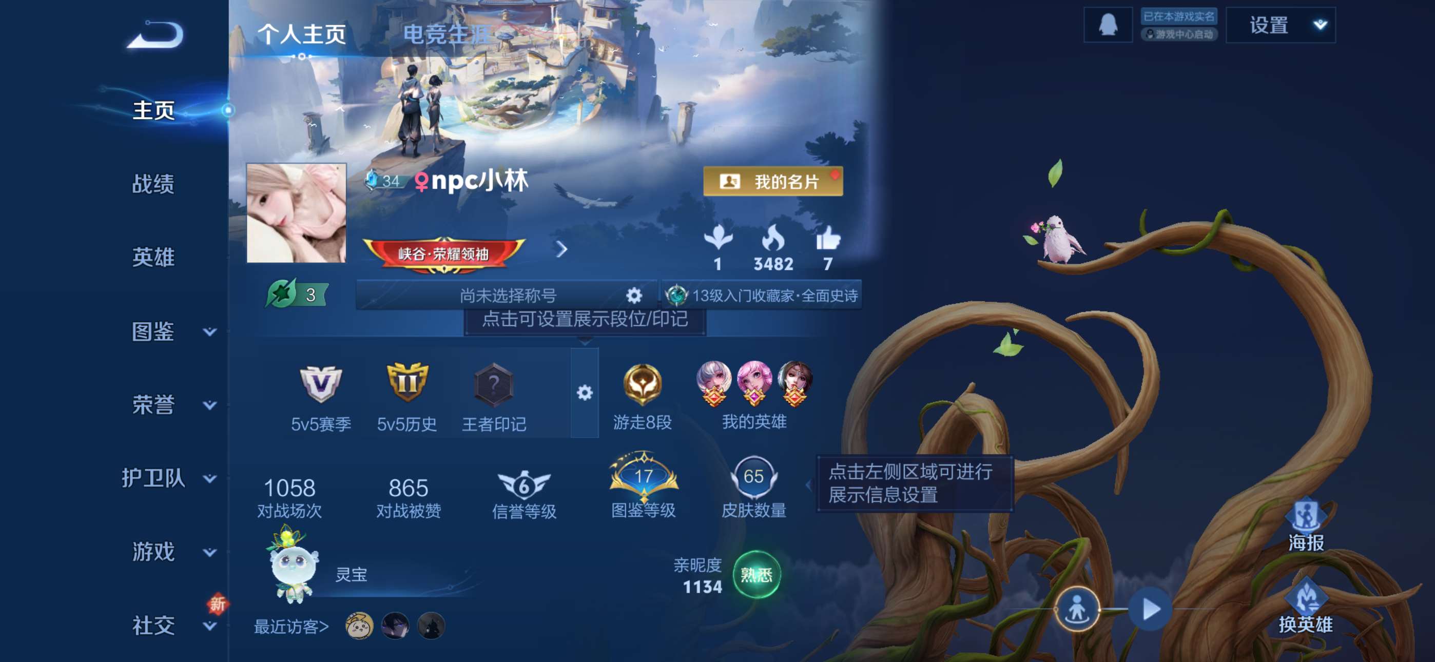 王者荣耀账号苹果QQ87英雄-65皮肤-1【秒换绑，无需等三天】【女号】V5-65皮肤 苹果Q-V-65皮肤3传说 【传