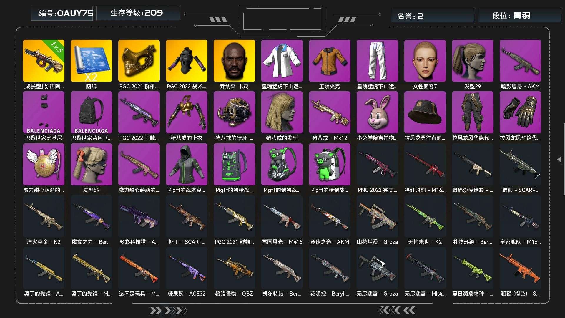 GJD12471	生存209级可排位/5级...