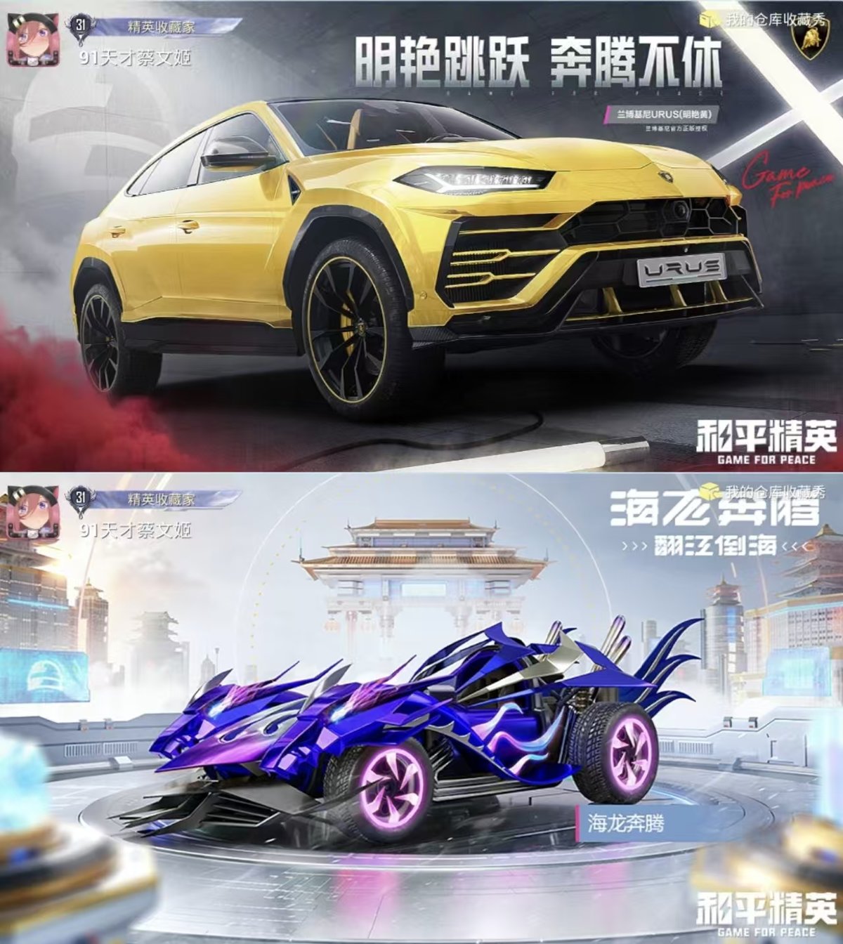 HPQM419295和平精英账号详情图5