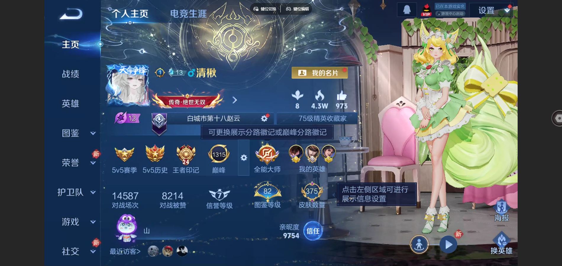 WZQM454219王者荣耀账号详情图5