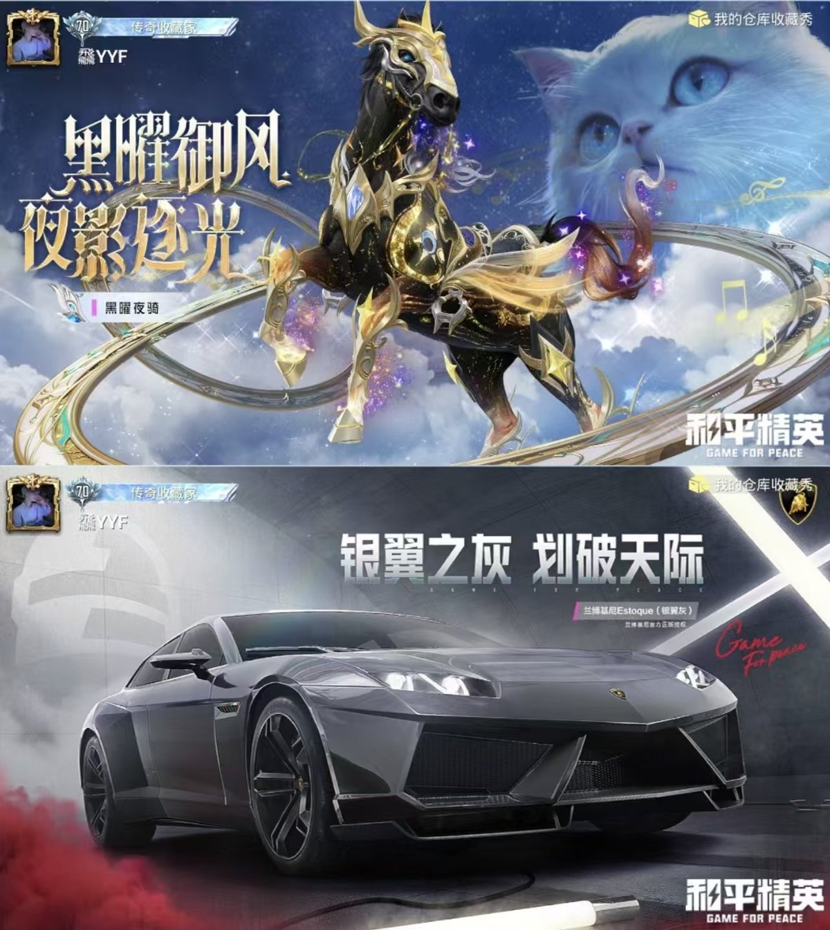 HPQM422342和平精英账号详情图10