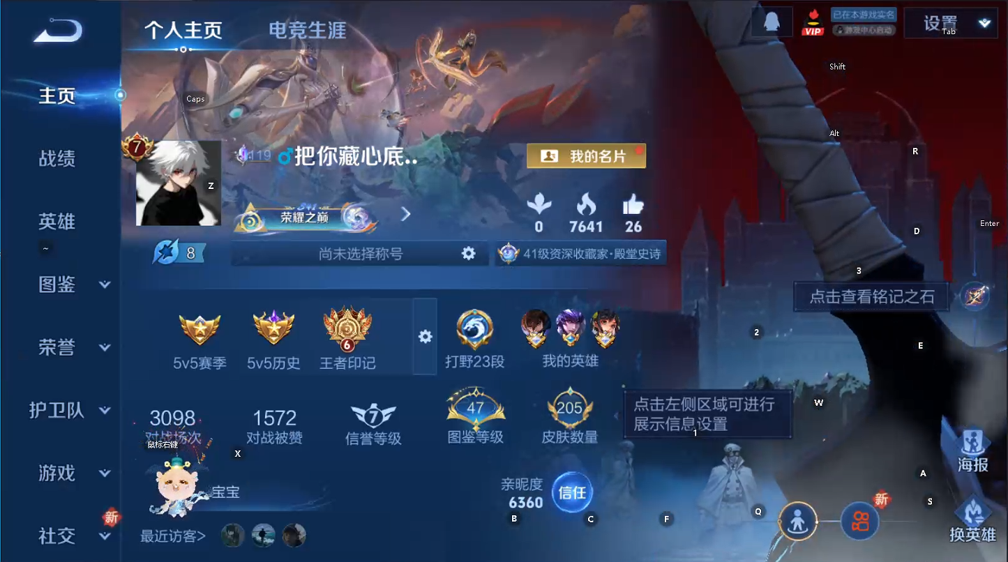 WZQM461037王者荣耀账号详情图13