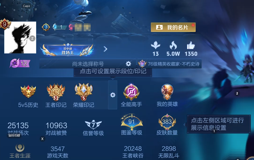 WZQM461034王者荣耀账号详情图10