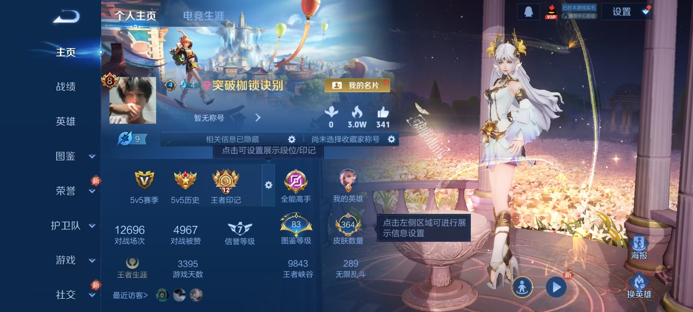 WZCMW461016王者荣耀账号详情图10