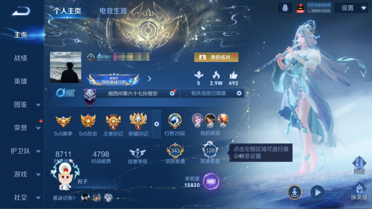 WZQM460963王者荣耀账号详情图13