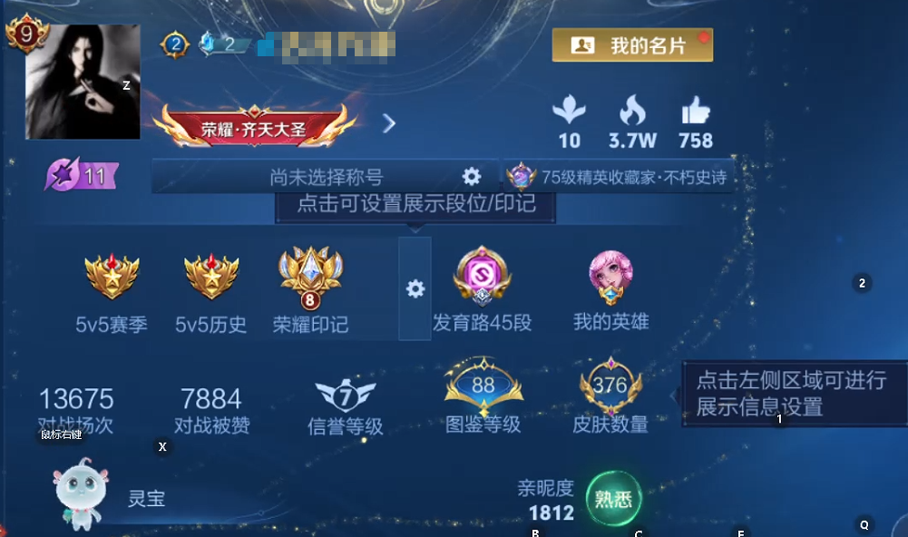 WZQM460874王者荣耀账号详情图10