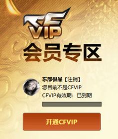 CFQM412010穿越火线账号详情图3