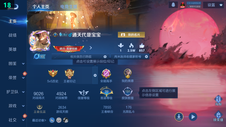 WZCMW4141110王者荣耀账号详情图3