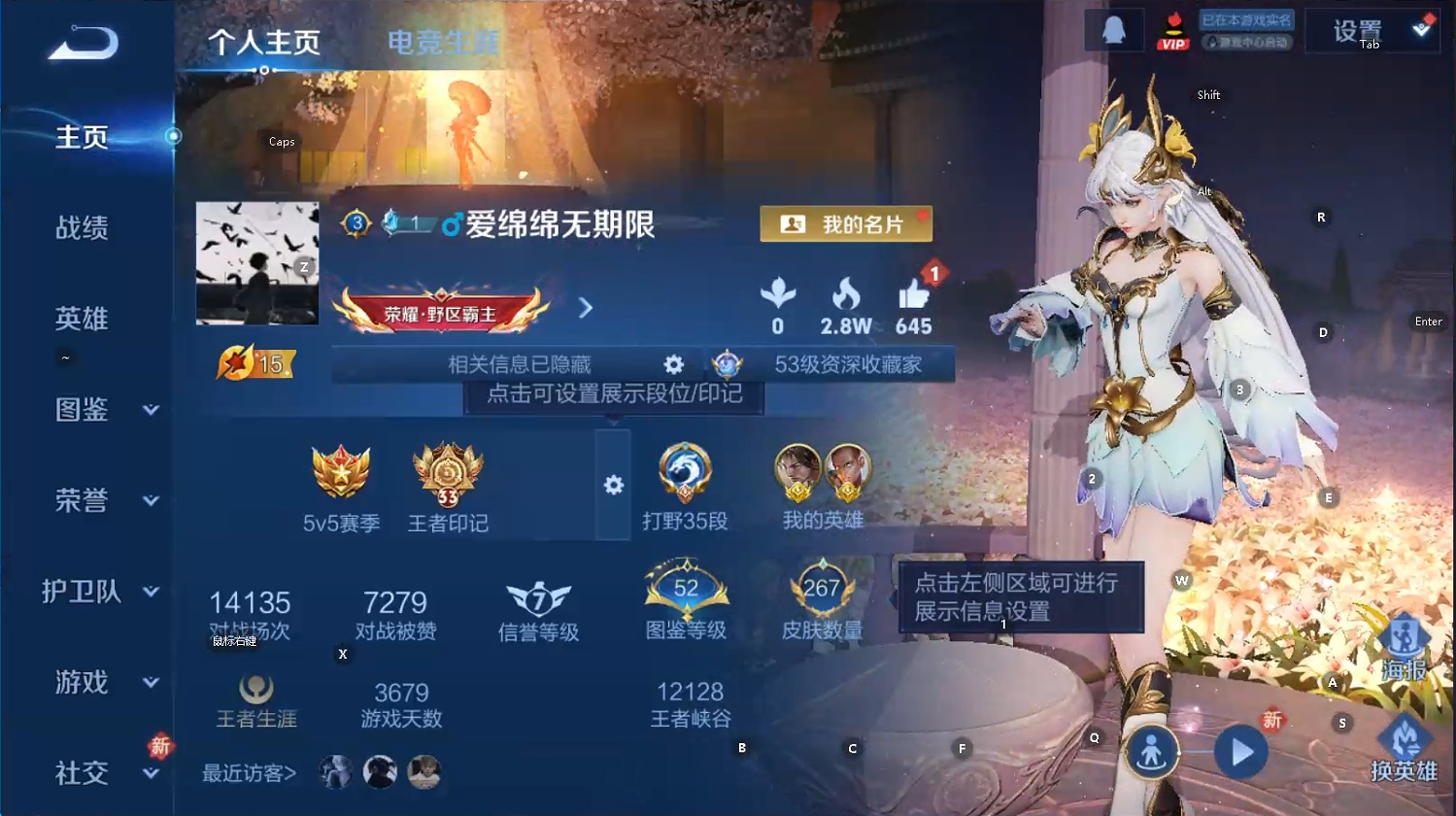 WZCMW468307王者荣耀账号详情图11