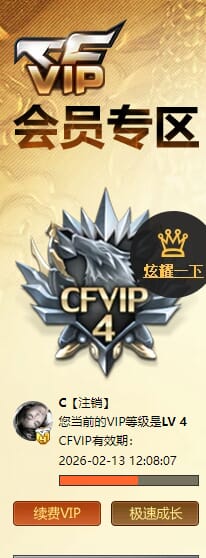 CFCMW416176穿越火线账号详情图9