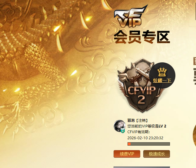 CFCMW416509穿越火线账号详情图10