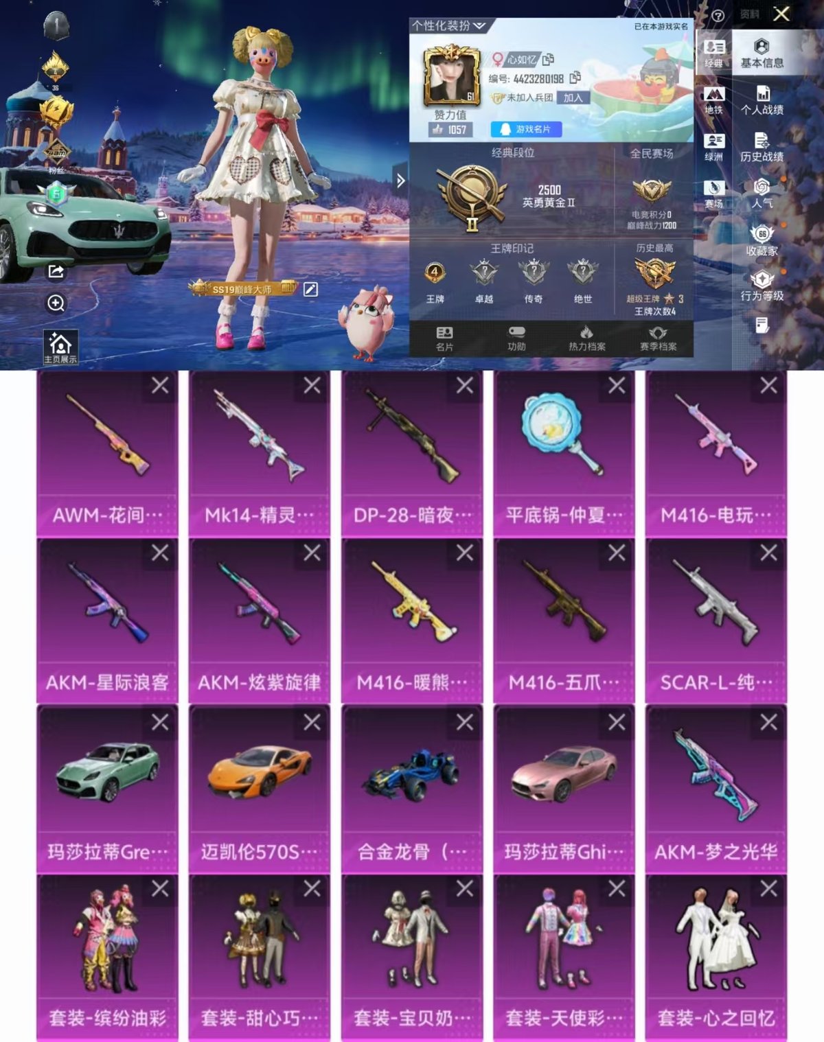 HPQM443339和平精英账号详情图10