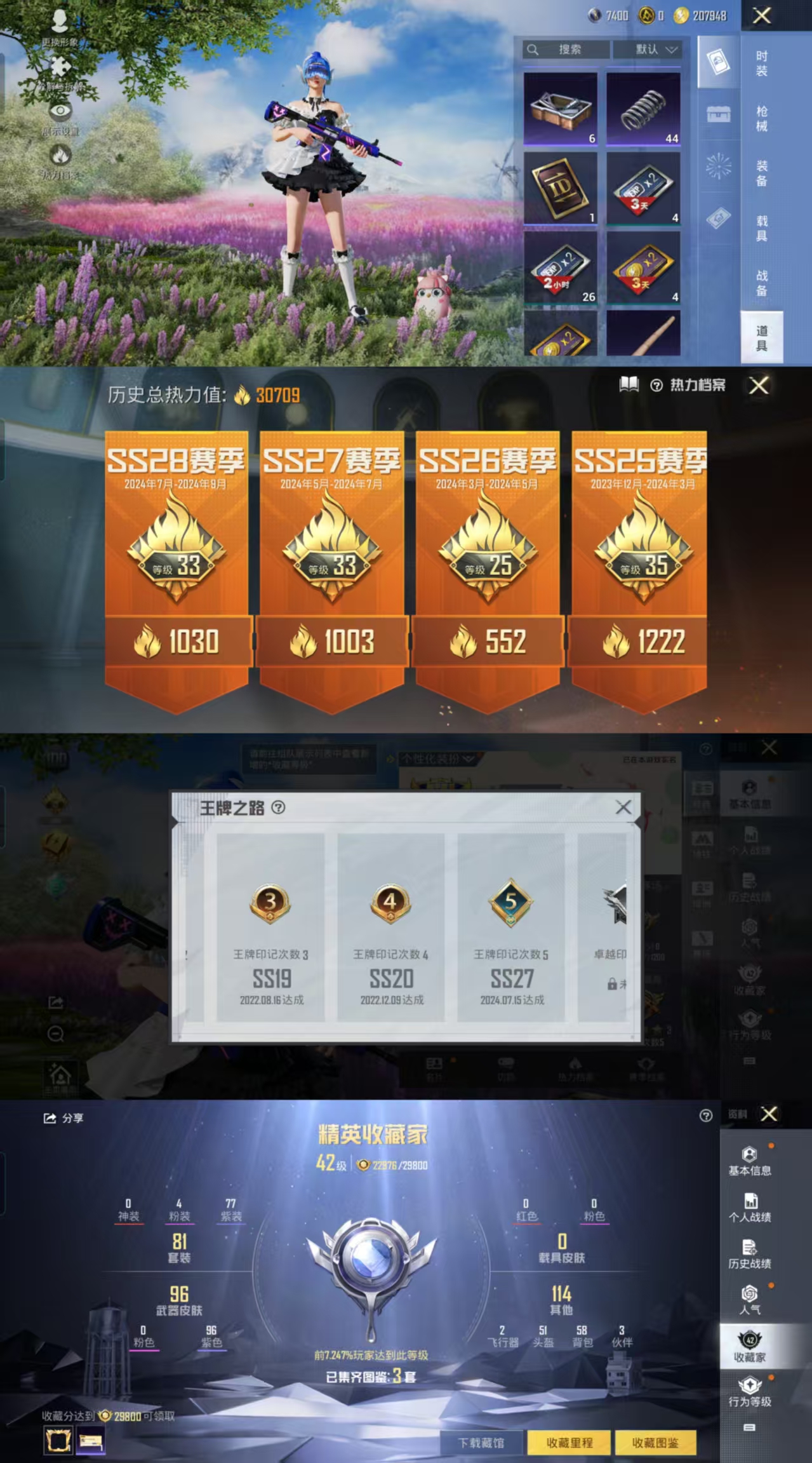 HPCMW443293和平精英账号详情图3