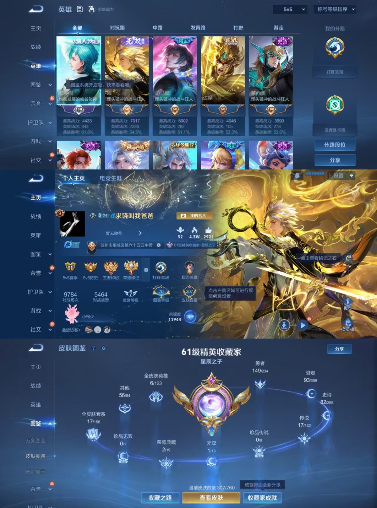 WZQM483338王者荣耀账号详情图9