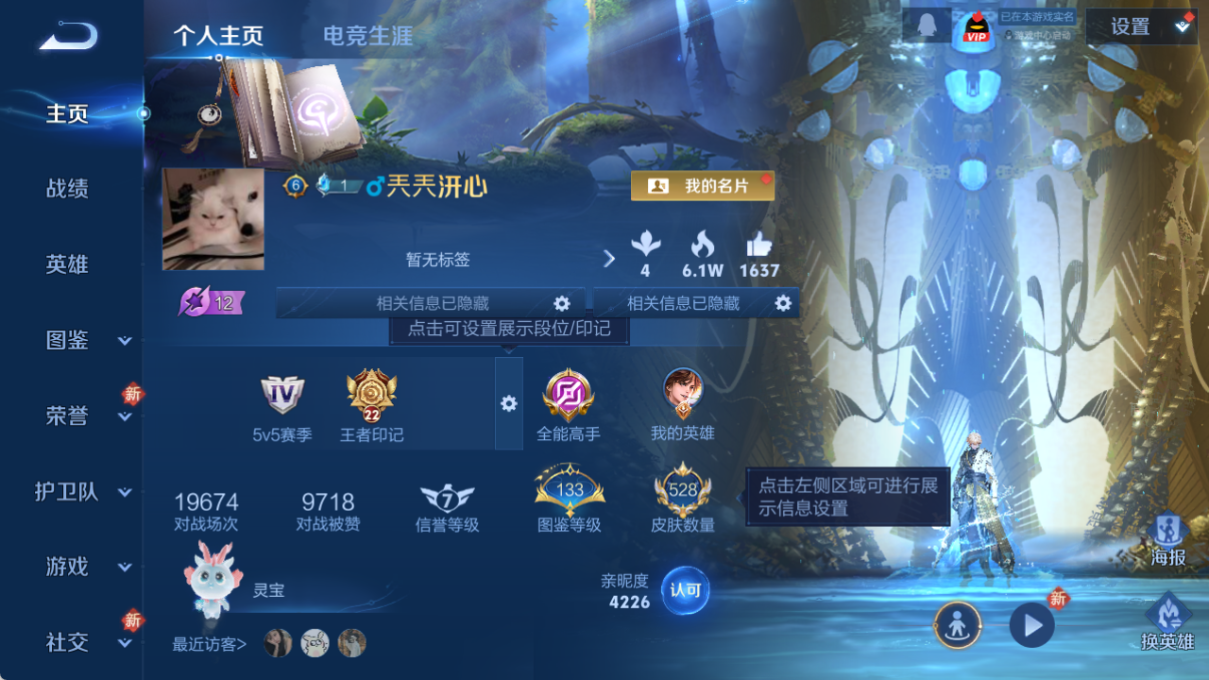 WZQM4153579王者荣耀账号详情图4