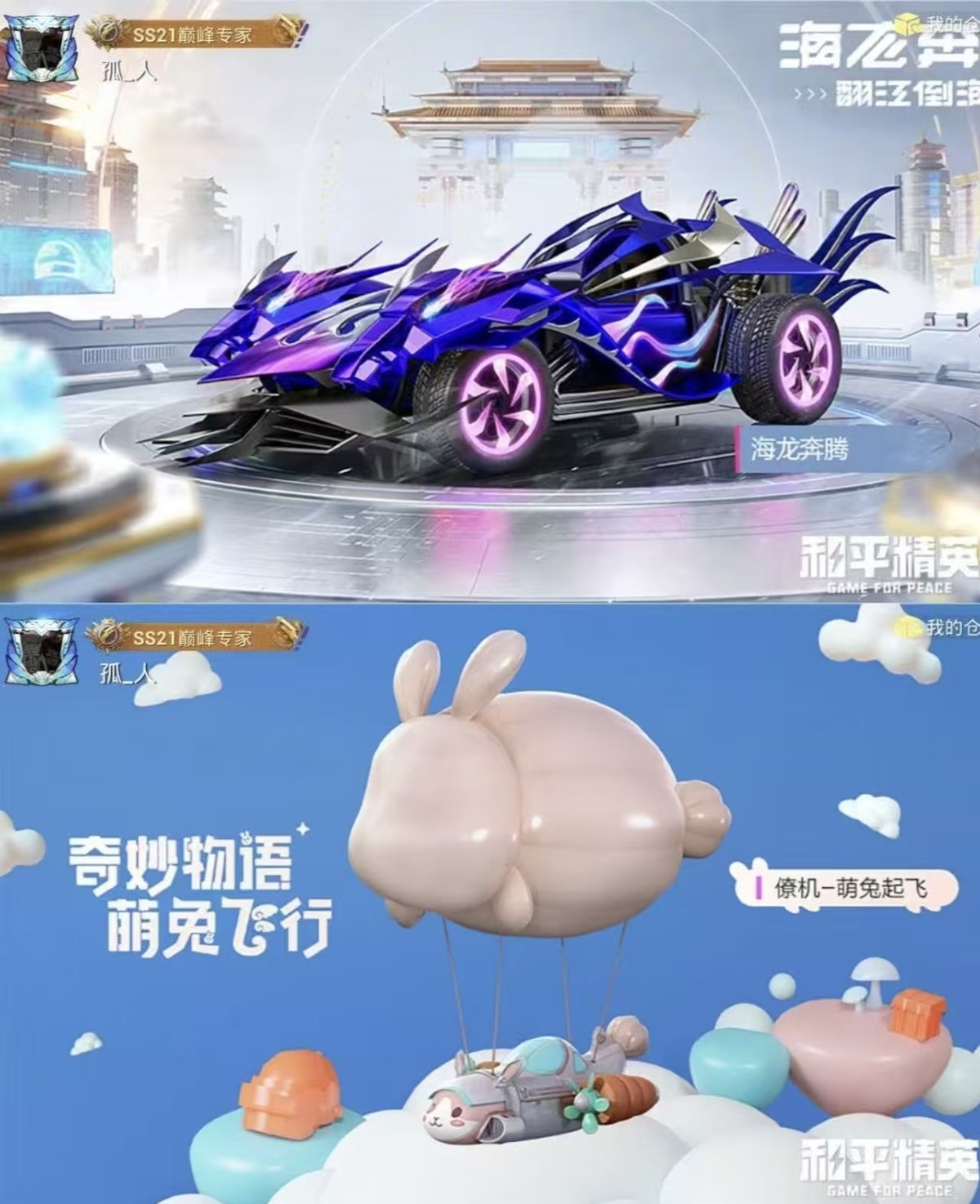 HPCMW445903和平精英账号详情图3