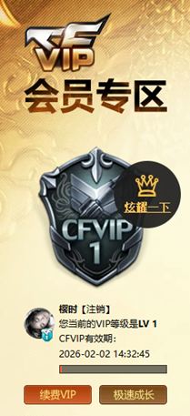 CFQM418295穿越火线账号详情图9