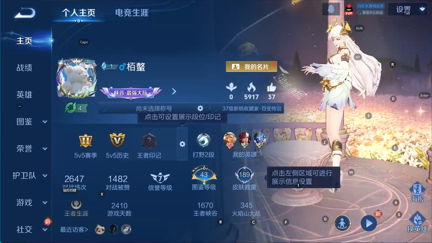 WZQM493585王者荣耀账号详情图9